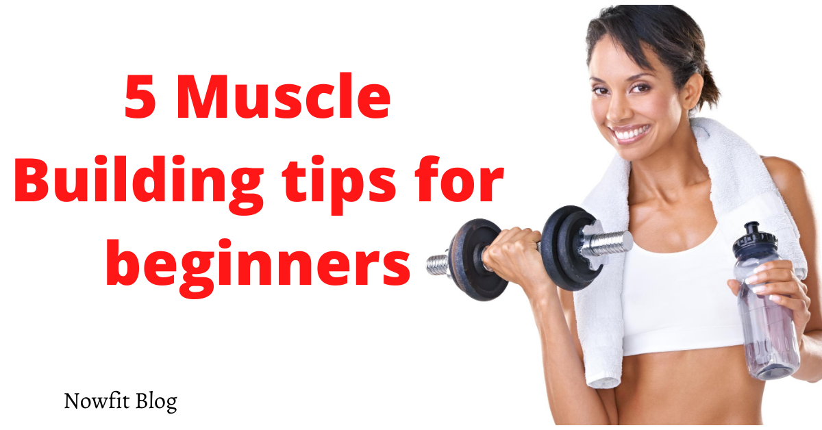 5 Muscle Building Tips For Beginners - Nowfit Health And Wellness Coach