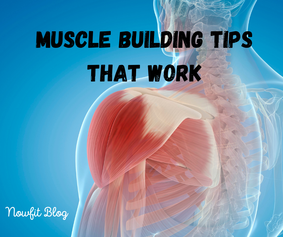 muscle building tips that work